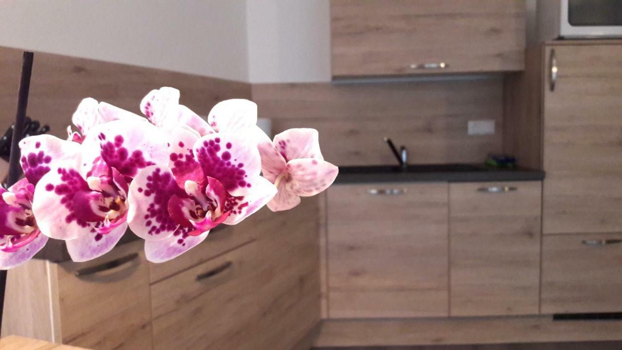Appartment Charly ซีอูซี ภายนอก รูปภาพ